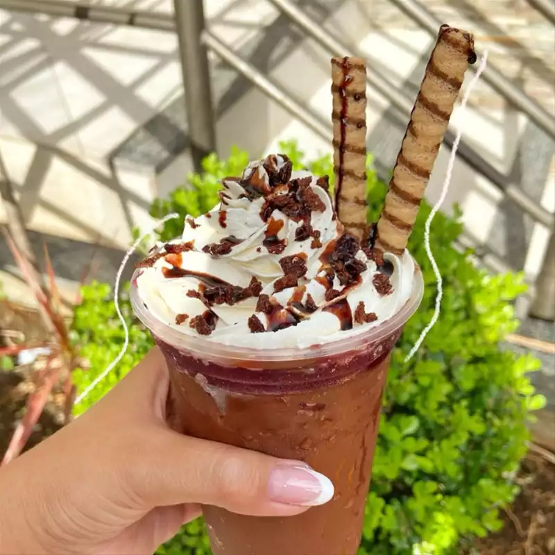 delicias da Gabi açaí